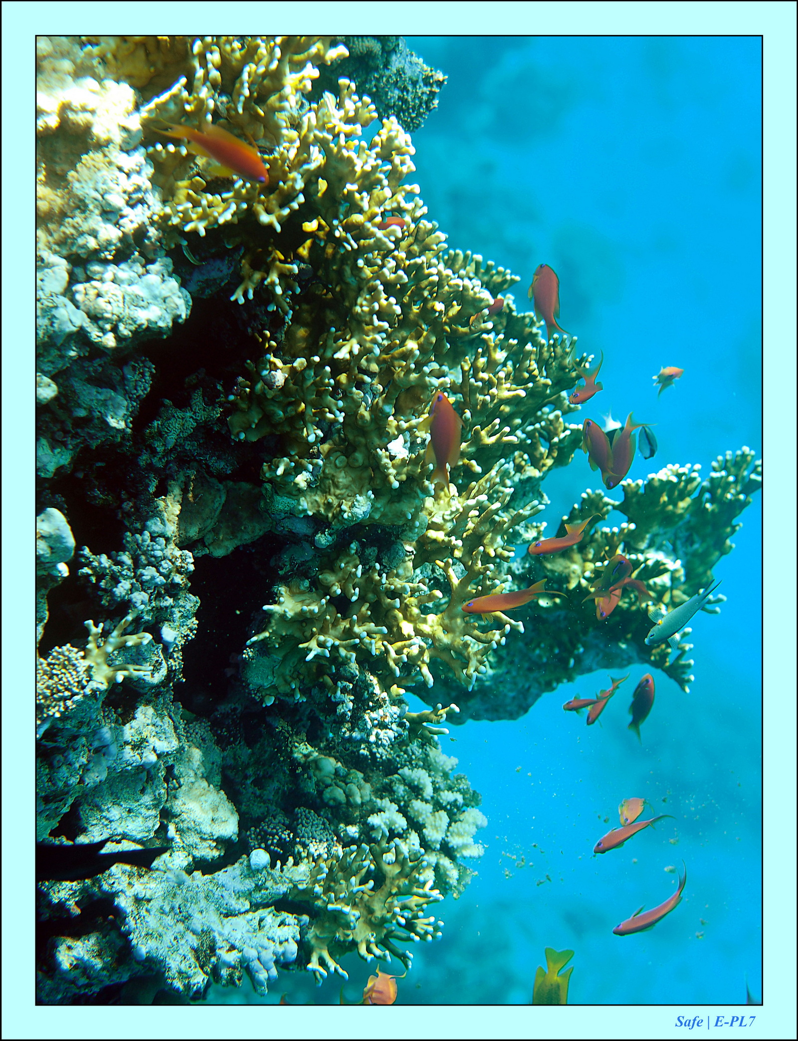 Hurghada - Aout 2021 - 036